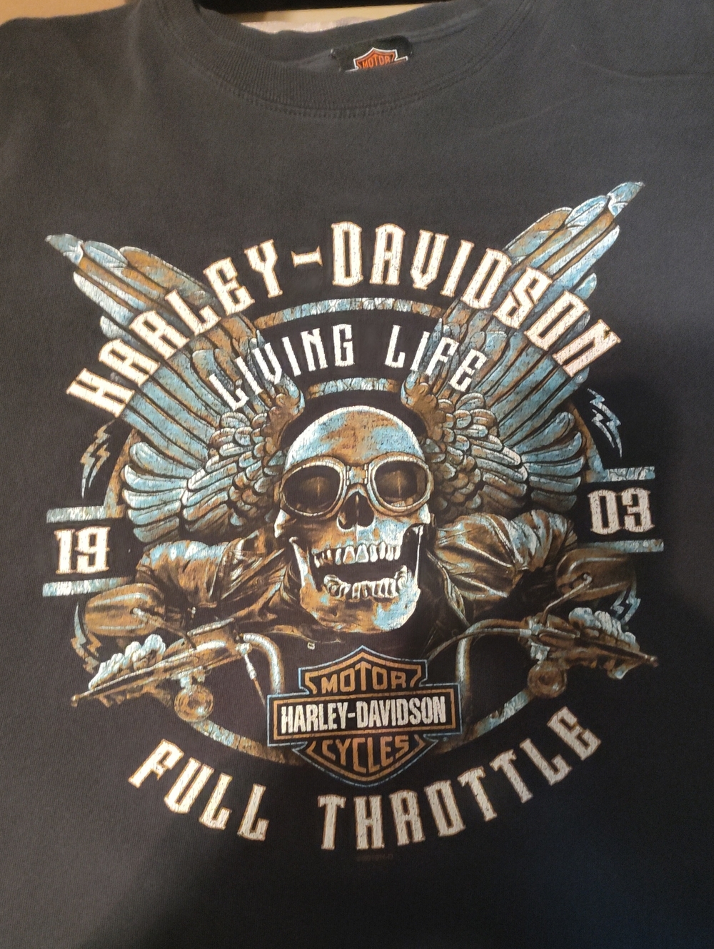 Harley-Davidson Black Tee with Blue and Brown Skull Wing Graphic